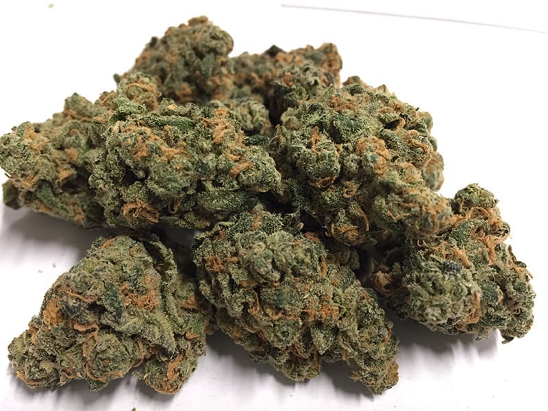Blue Dream flower grown by High Desert Relief