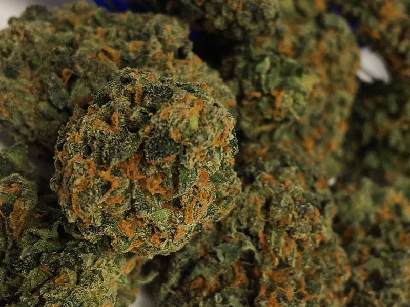 Skywalker Kush flower grown by High Desert Relief