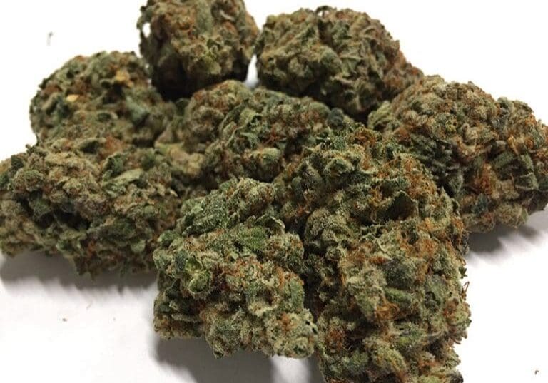 Gorilla Wreck flower grown by High Desert Relief